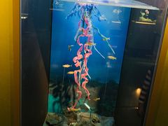 景点-上海自然博物馆