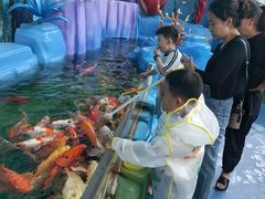 -海合安成都极地海洋公园