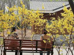 -大兴滨河森林公园