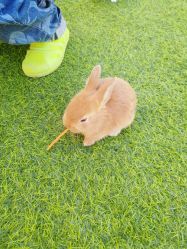 -萌宠亲子动物乐园(槐房万达店)