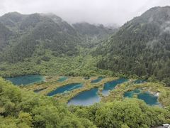 -九寨沟-树正沟