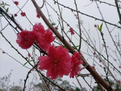 -白水带风景区体育公园