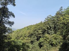 -广州市帽峰山景区