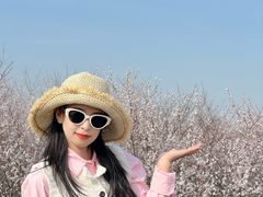 -明秦王墓遗址