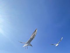 -海埂大坝
