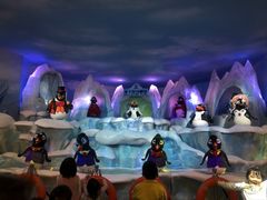 -帝企鹅自助餐厅•儿童岛•真企鹅(长隆企鹅酒店)