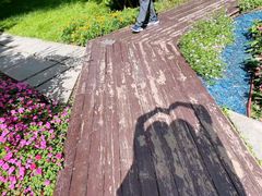 -长春公园(普阳街道)