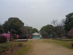 -金鸡湖桃花岛