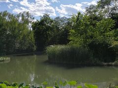 -北京动物园-畅观楼