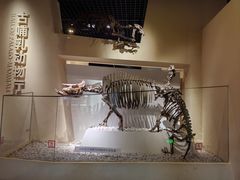 -国家自然博物馆