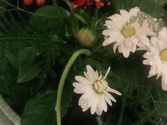 -旺顺阁海鲜广场(亚运村店)