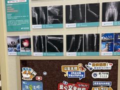-安安宠医宠物医院·异宠·犬猫内科(岳阳分院)