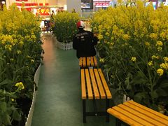 -天虹购物中心(石路店)