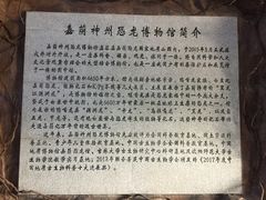 -嘉荫恐龙国家地质公园