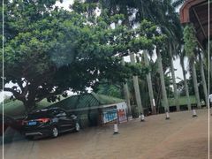 -侯臣咖啡文化村