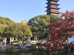 -常熟方塔园