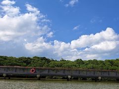 -东寨港红树林旅游区