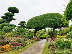 -南宁南湖公园