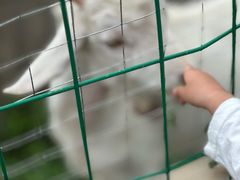 -菊园百果园