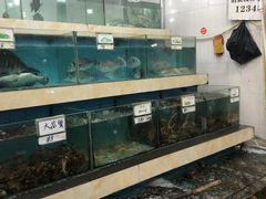 水产区-秋姐美食店(旅游大道店)
