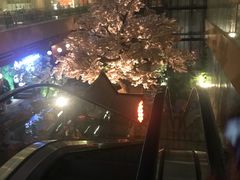 -嘉悦汗蒸时代(曙光路店)