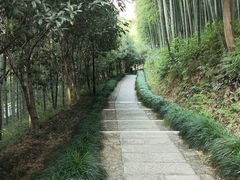 -东明山森林公园