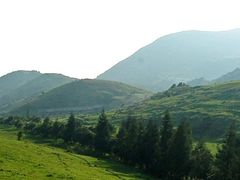 -齐岳山