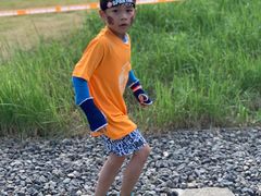 -春花秋色城市公园