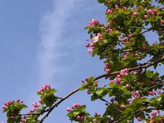 -天津市第三中心医院