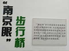 -南京眼步行桥