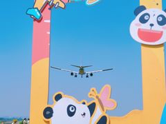 -空港花田景区