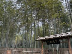 -陶祖圣境风景区