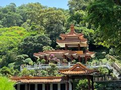 -深圳仙湖植物园