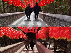 -红螺寺