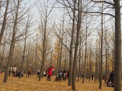 -汉景帝阳陵博物院
