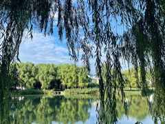 -兰陵国家农业公园