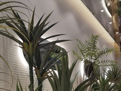 -兰湘子·湘菜小炒(崂山丽达店)