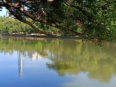 -荔枝公园(福田区)