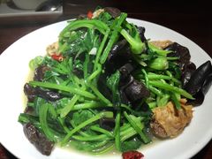-四季春