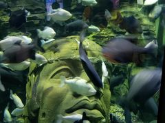 -成都浩海立方海洋公园