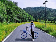 -青龙山国家森林公园