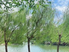 -东山湖公园