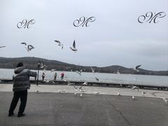 -水上明月·湖景餐厅
