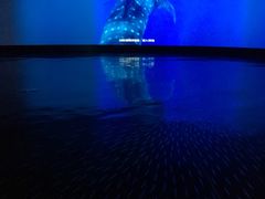 -同济大学四平路校区深海探索馆