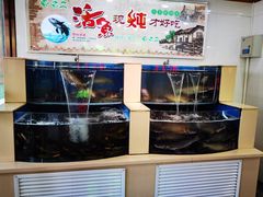 -屯老二农家铁锅炖·行业领军者(梅江店)