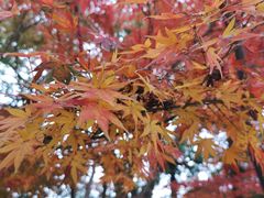 -上海市龙华烈士陵园