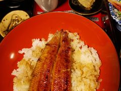 -料亭菊水楼
