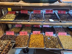 -昆虫窝子·特色云南菜(拓东路总店)