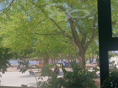 -长春市南湖公园