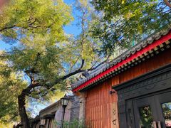 -北京国子监胡同